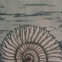 l´ammonite, Druckgrafik Aquatinta + Kaltnadel